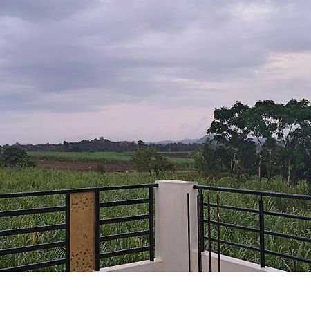 Coconut Homestay Хампі Екстер'єр фото