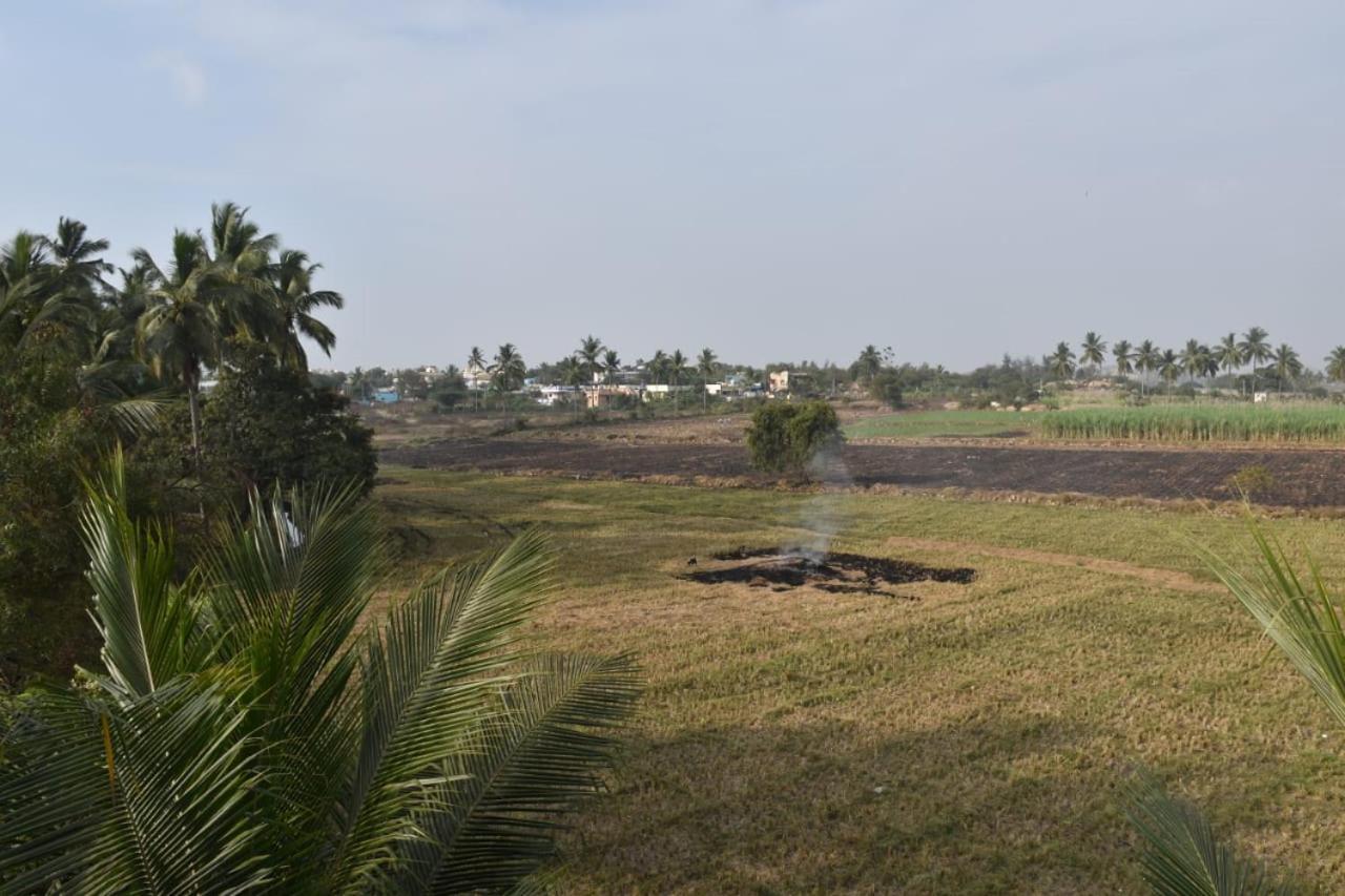 Coconut Homestay Хампі Екстер'єр фото
