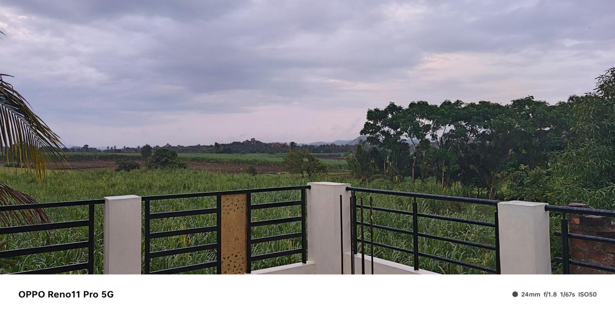 Coconut Homestay Хампі Екстер'єр фото